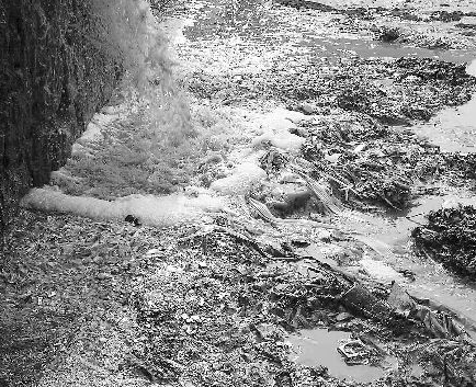 水質(zhì)檢測機構