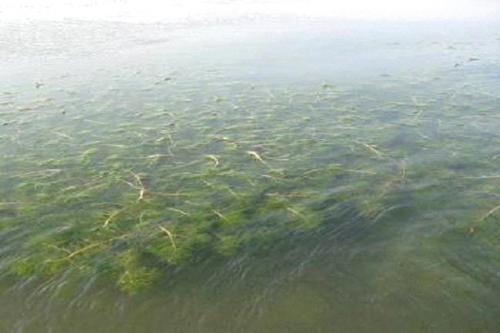 深圳水質(zhì)檢測機構